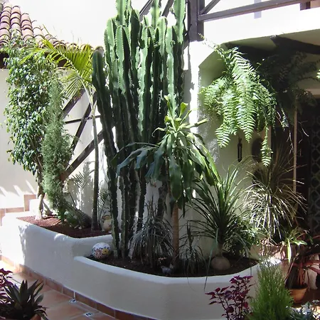 Appartamento Mediterranean With Small Patio-terrace *