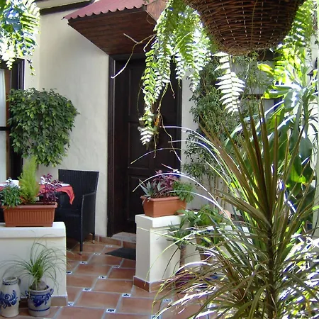 Appartamento Mediterranean With Small Patio-terrace