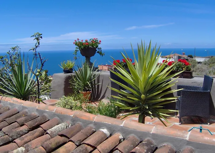 Mediterranean With Small Patio-terrace Apartament