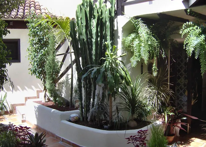 Apartament Mediterranean With Small Patio-terrace *