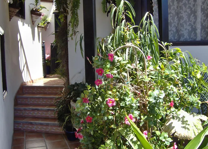 Mediterranean With Small Patio-terrace *