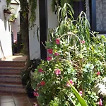 Mediterranean With Small Patio-terrace *