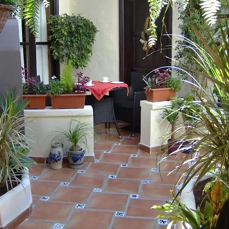 Apartment Mediterranean With Small Patio-terrace *