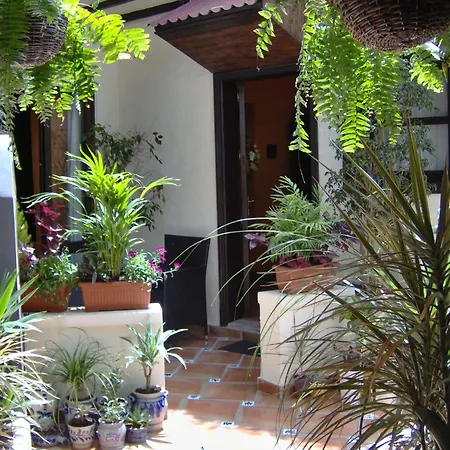 Apartment Mediterranean With Small Patio-terrace Icod De Los Vinos