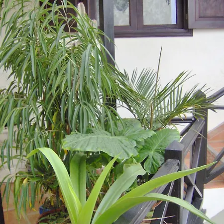 Apartment Mediterranean With Small Patio-terrace *