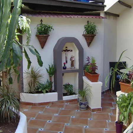 Apartment Mediterranean With Small Patio-terrace Icod De Los Vinos
