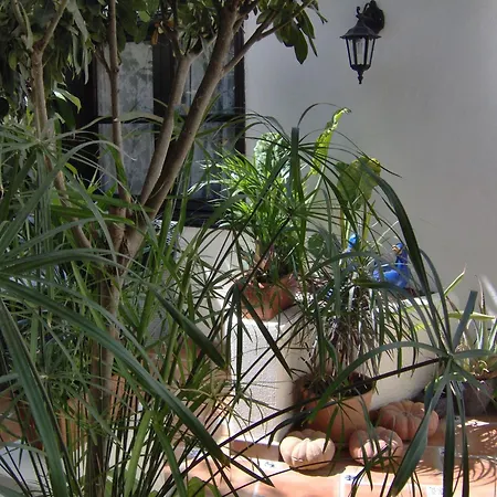 Mediterranean With Small Patio-terrace