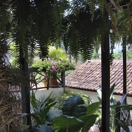 Mediterranean With Small Patio-terrace Apartman Icod de los Vinos