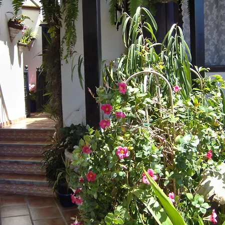 Mediterranean With Small Patio-terrace *